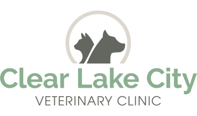Clear Lake City Veterinary Clinic 400001 - Logo